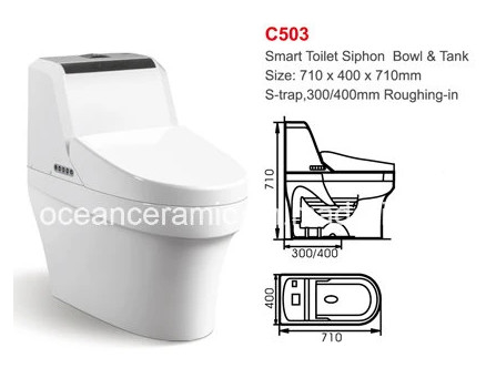 Una pieza 710 X 400 X 710 mm Smart Toilet Pared colgada Silla de baño inteligente de pie